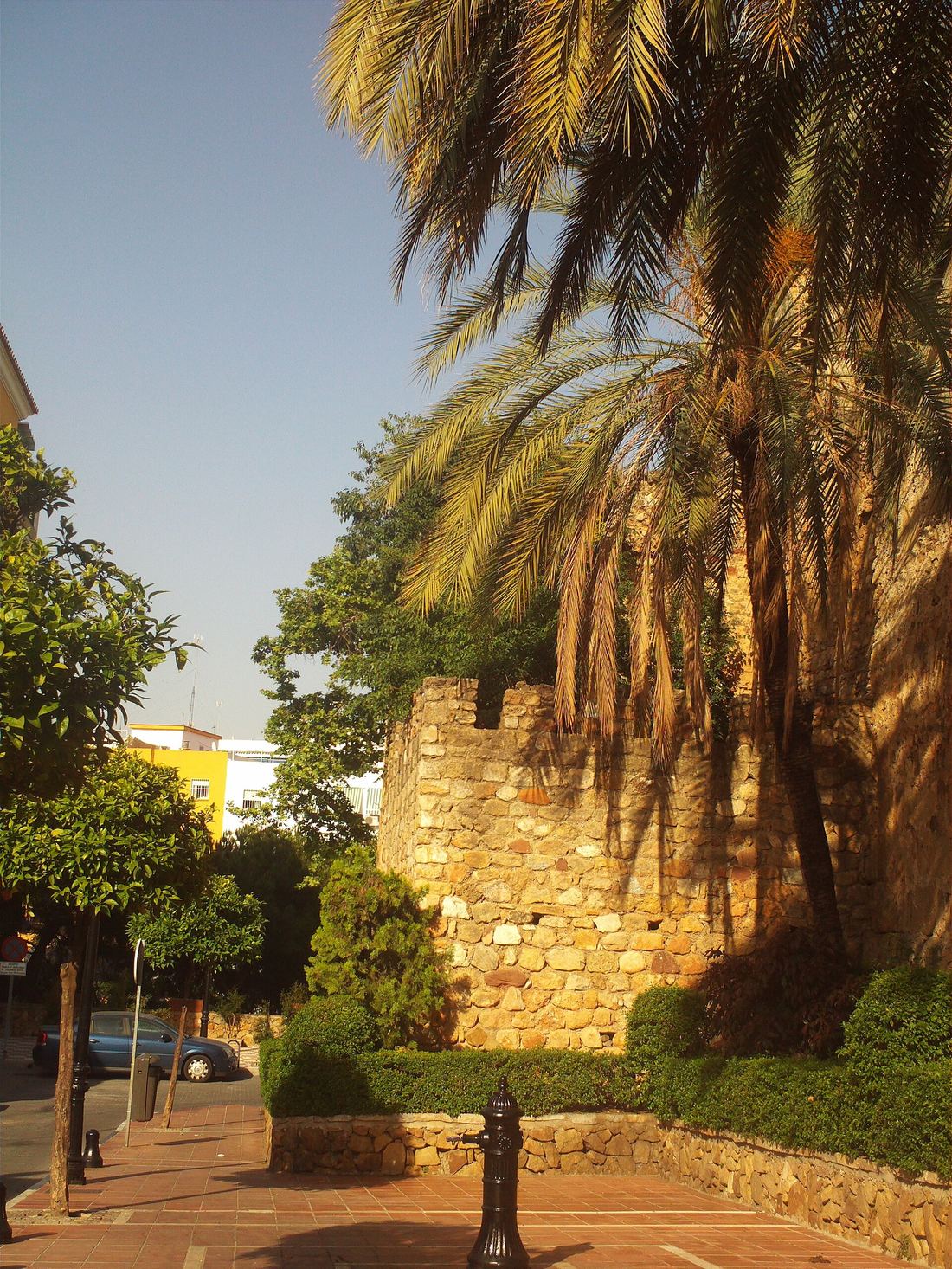 A palm tree leaning over the warm stone of the old Moorish walls in Marbella